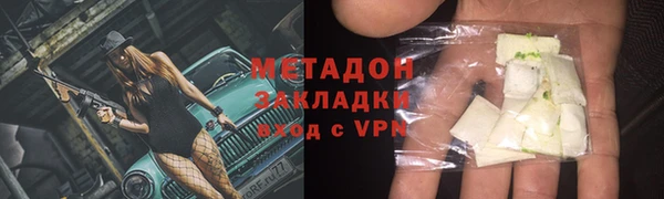 хмурый Аркадак