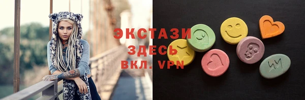 хмурый Аркадак