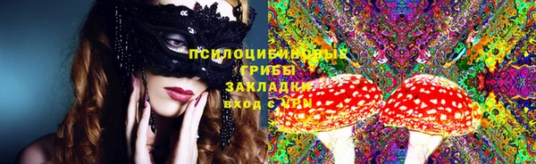 хмурый Аркадак