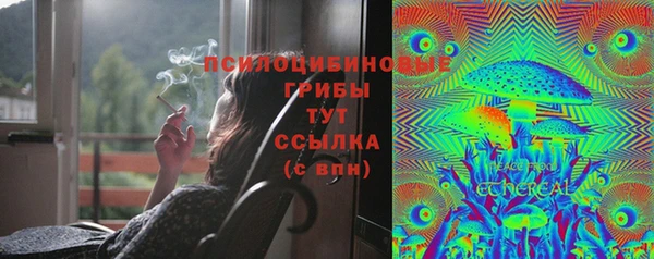 ешки Армянск