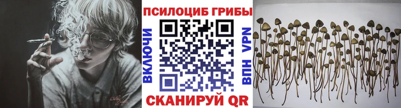 Галлюциногенные грибы мицелий  где найти   Лобня 